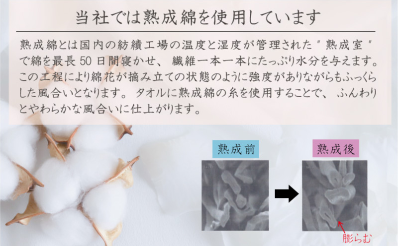 【スピード発送】薄手白フェイスタオル 100枚セット 国内製造 泉州タオル 099H4057