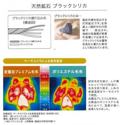 ふるさと納税 泉大津市 ROMANCE　岩盤浴プレミアム　敷きパッド　【ダブル】　ピンク　33358724 |  | 03