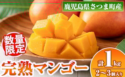 s410 ≪数量限定≫完熟マンゴー(化粧箱入り2～3玉・計1kg) 鹿児島 国産 九州産 マンゴー フルーツ 完熟 果物 果実 ギフト プレゼント 贈答【祝迫果樹園】