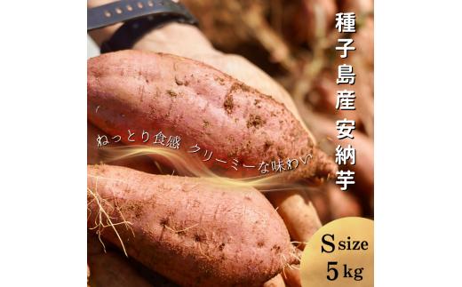 【  新物 ・先行予約 】 種子島  めっかり申さん 安納いも ( 生いも ) S サイズ 5kg　NFN629【300pt】