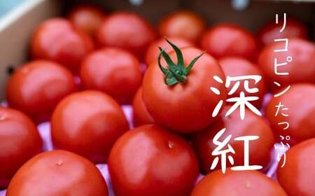 赤さがリコピン満載の証！四万十産トマト「深紅」4kg（1箱24～55玉） 野菜 新鮮 鮮度 抜群 トマト 完熟トマト 評判 好評 人気 濃厚 とまと リコピン パスタ トマトジュース ジャム 健康食品 美肌 美容 免疫 緑黄色野菜 ／Fbg-006