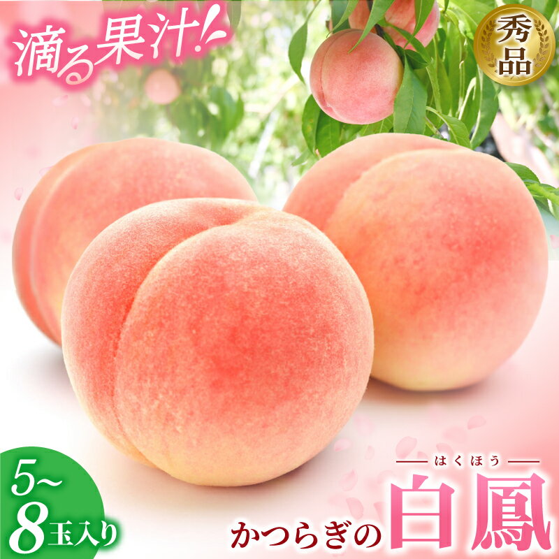 【ふるさと納税】＼レビューキャンペーン中／和歌山県産 白鳳 桃 5～8玉入り 秀品 先行予約【2025年6月下旬以降発送】【MG6】 | もも モモ 桃 白鳳 秀品 和歌山県 先行予約 名産品 フルーツ 産直 産地直送 おすすめ お取り寄せ期間限定 数量限定