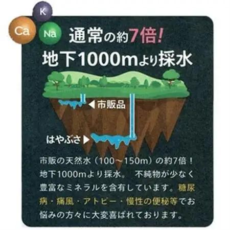 りょう泉はやぶさ　995〈500ml×24本〉【1031769】