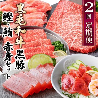 ふるさと納税 枕崎市 定期便2回配送　黒毛和牛・黒豚　赤身セット　CC0-0013