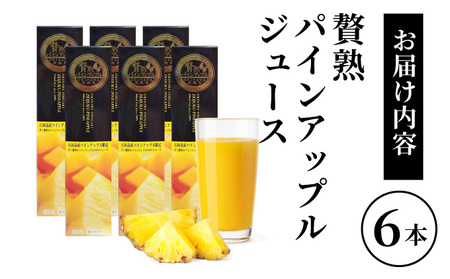 贅熟 石垣島産パインアップルジュース(100%)  500ml 6本