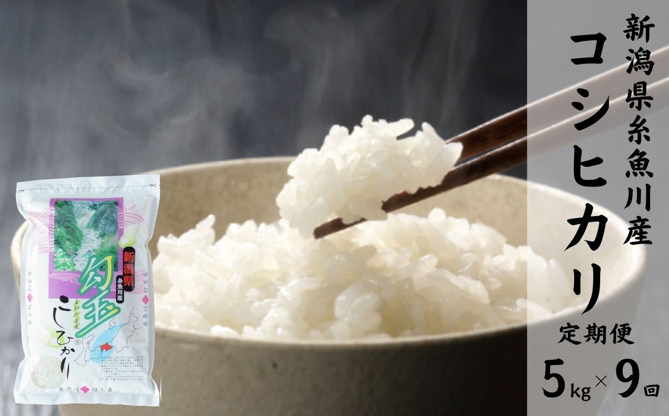 
            令和7年産新米【定期便】新潟県産コシヒカリ『勾玉米』5kg×9回 毎月お届け 全45kg 糸魚川産 白米 2025年産 木島米穀店【米 お米 ご飯 ライス ふるさと納税米 ブランド米 こしひかり 食品 おすすめ 人気 新潟県 糸魚川市 9か月 9ヵ月 9ヶ月】
          