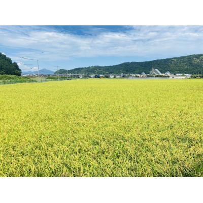 ふるさと納税 おおい町 令和8年産まちづくり米(先行予約) |  | 01