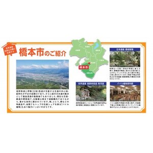 【返礼品なし】和歌山県橋本市への応援寄附金(50,000円分)