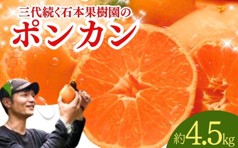 【先行予約】石本果樹園の美味しい ポンカン 約4.5kg 約20～25玉前後【2027年1月初旬から２月初旬までに順次発送予定】 / みかん フルーツ くだもの 果物 ポンカン【min001B】