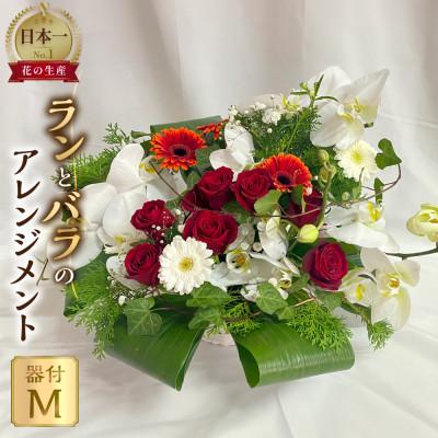 ふるさと納税 田原市 器に盛ったランとバラのアレンジ M　ギフト・プレゼントに最適 愛知県田原市
