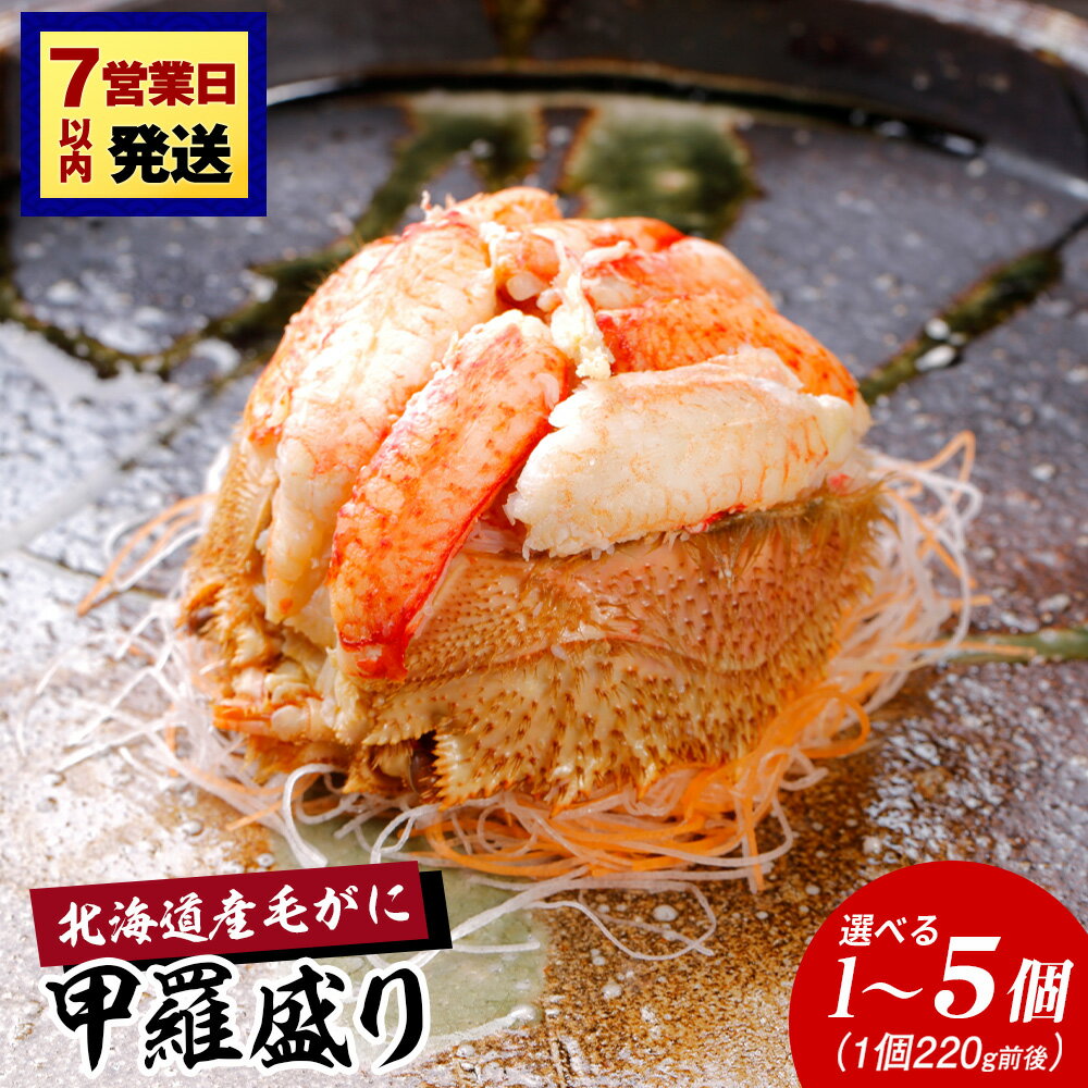 【ふるさと納税】【浜ゆで】北海道産毛ガニ甲羅盛り 選べる1個〜5個（1個220g前後）甲羅盛り 毛がに 毛ガニ 毛蟹 ケガニ 毛かに 毛カニ 蟹 カニ 北海道ふるさと納税 白老 ふるさと納税 北海道 年末