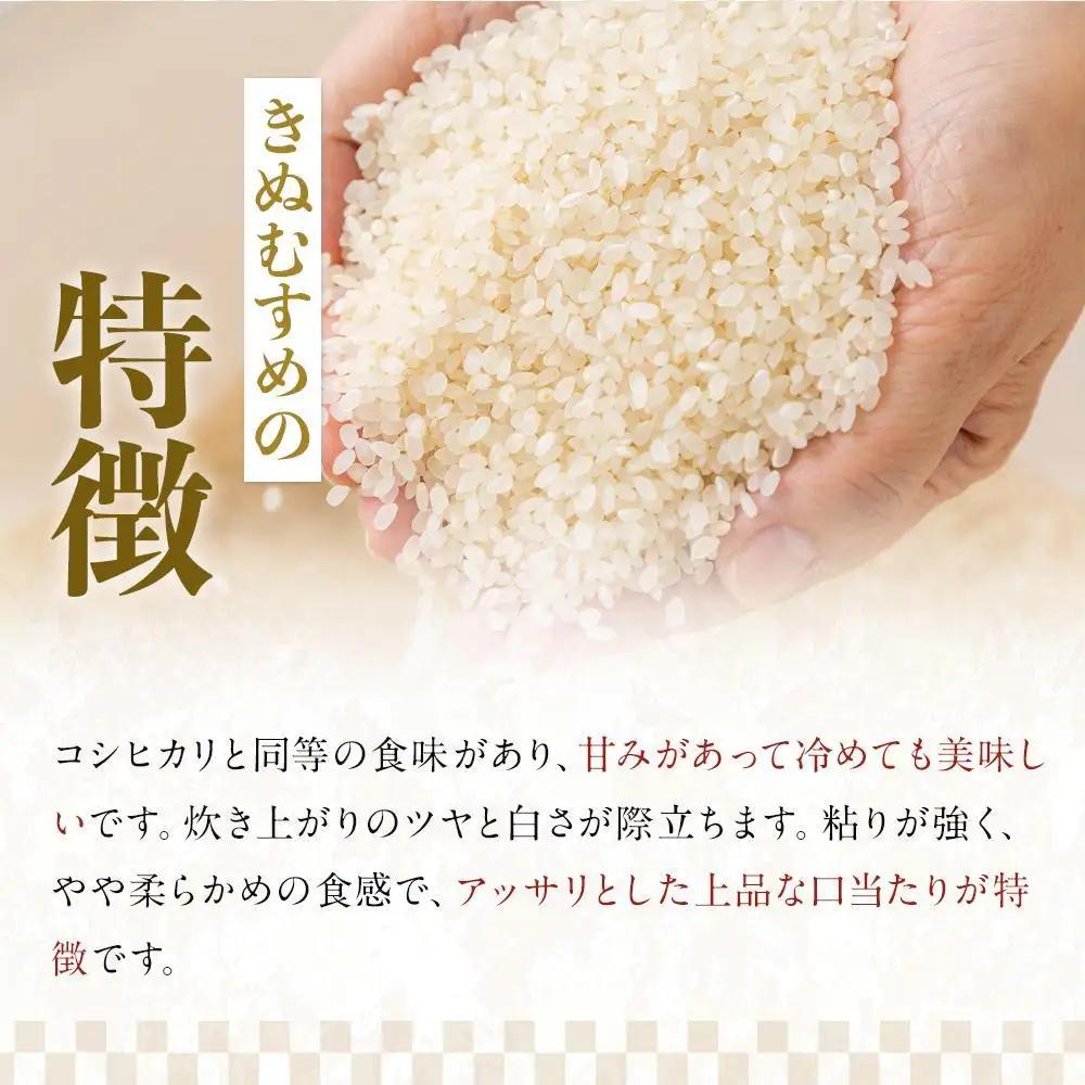 【 定期便 】令和7年産  上富田町産 金芽米 きぬむすめ 5kg × 3か月 井戸本農園