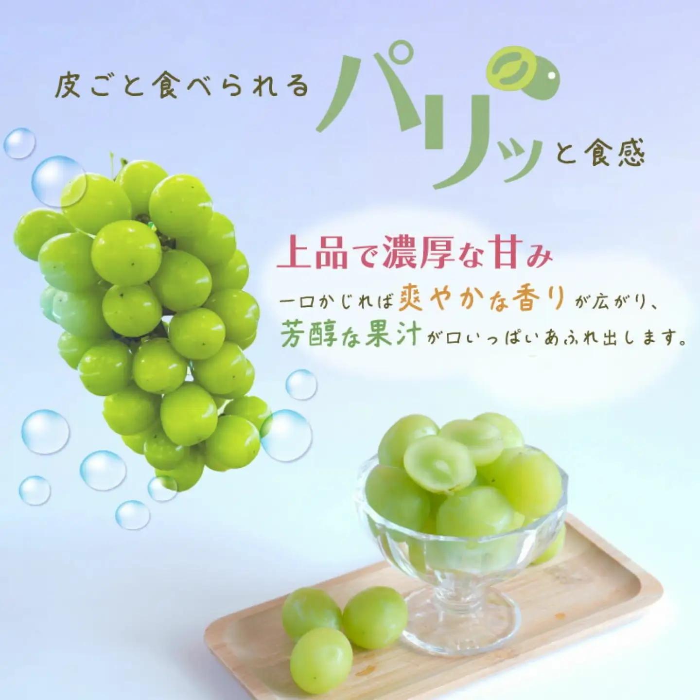 シャインマスカット 約1.0Kg（２房）｜ シャインマスカット