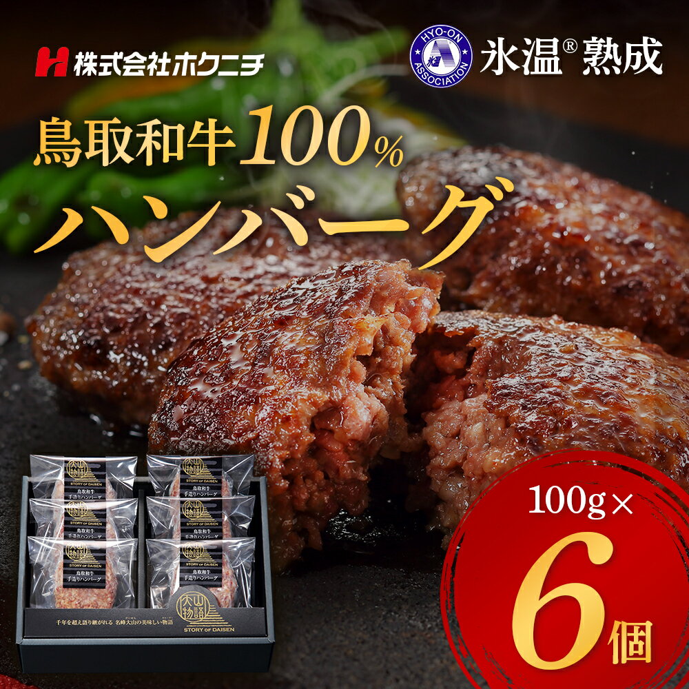 【ふるさと納税】ハンバーグ 鳥取和牛 100% 手造り 100g×6個 手ごね 手捏ね 大山物語 個包装 グルメ 氷温(R)熟成 取り寄せ 送料無料 ホクニチ【25-013-010】