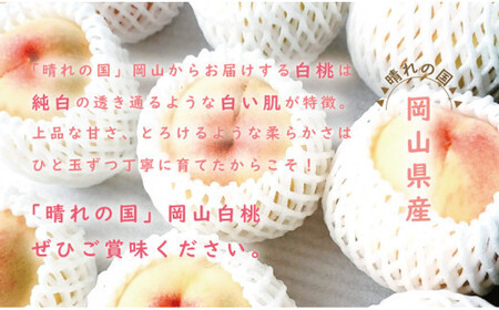 【2026年発送分 先行受付スタート！】岡山県産 白桃 最高ランク！「ロイヤル」約4kg（ 8～15玉）（令和8年7月以降発送）【桃】hz-m