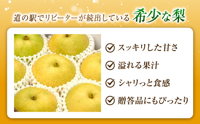 上岡果樹園のかおり梨 5～8玉入り 〈2026年9月～発送〉 ／ フルーツ 果物 くだもの 食品 人気 おすすめ 送料無料 梨 なし かおり梨 季節のフルーツ 【株式会社内子フレッシュパークからり】 