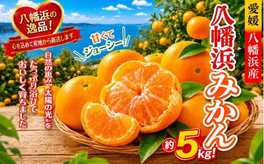 【先行受付】太陽の光・石垣の反射光・海面の反射光を浴びて育った「八幡浜みかん」約5キロ＜C39-79＞【1636310】 YWTF054