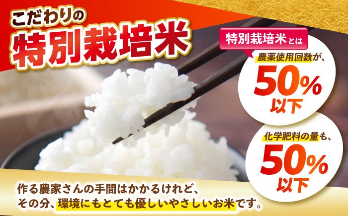 さがびより ( 白米 ) 4kg【北原農園】[HCA004]