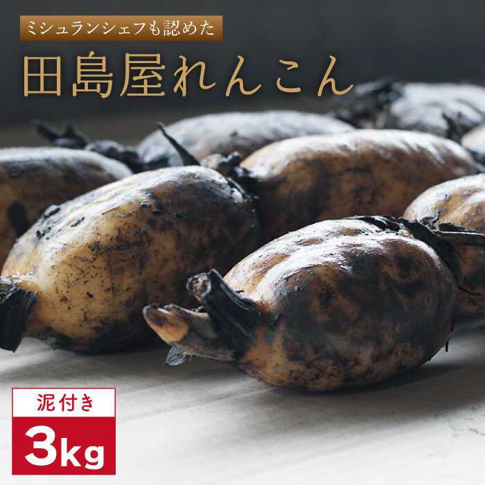 【ふるさと納税】【R7年8月以降順次発送】【ミシュランシェフも認めた】 れんこん（泥付き） 3kg 【田島屋れんこん】 蓮根 レンコン 根菜 野菜 白石町産 佐賀県 白石町 [IAV001]