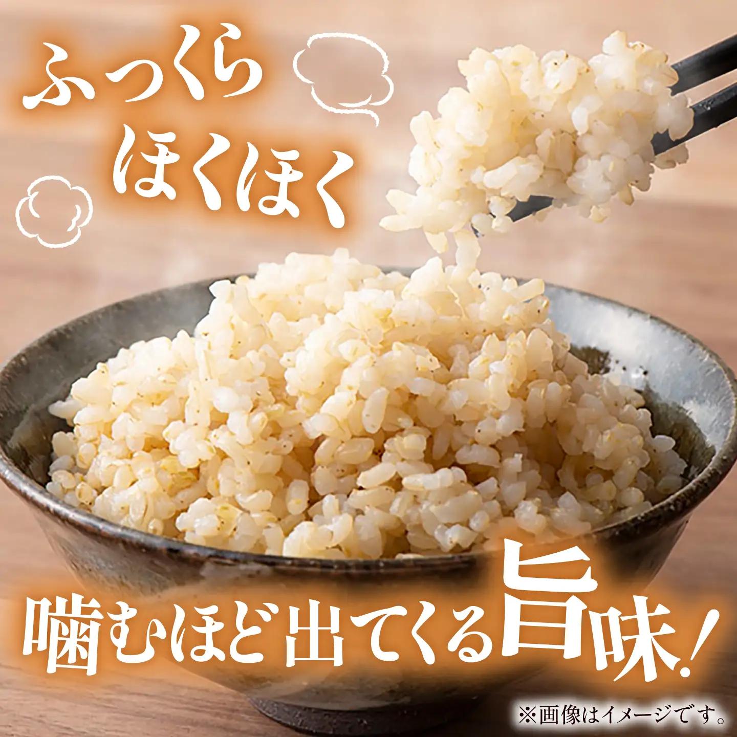 新米 コシヒカリ 玄米 10kg 新米 【令和8年産 先行予約】  [AIAN003]