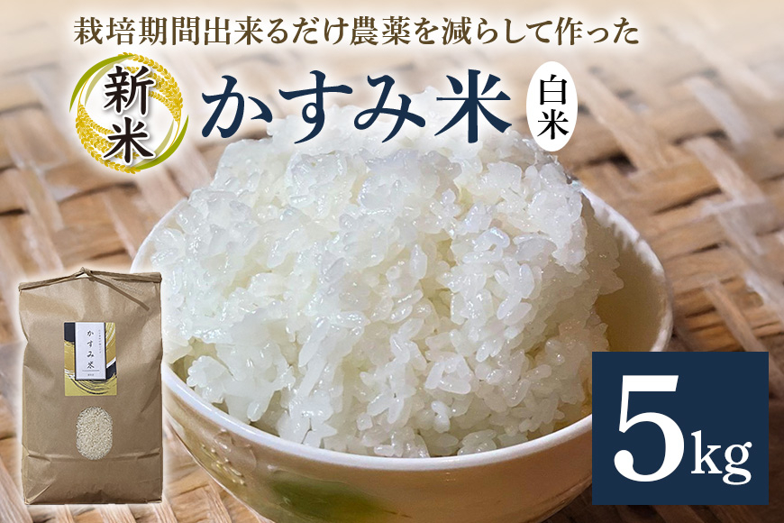 
            令和7年産新米 白米 5kg 栽培期間出来るだけ農薬を減らして作った「かすみ米」 茨城県産 コシヒカリ 米 お米 ご飯 ごはん 低農薬 しめじ菌床活用 甘み豊か 粘土質土壌育ち 健康志向 自然栽培 産地直送 贈答用 ギフト 茨城県 潮来市 (A03-007)
          