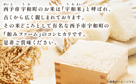 新米＜令和7年産 愛媛県西予市産 コシヒカリ 田んぼダム米 10kg＞ 10キロ こしひかり 西予応援米 宇和米 お米 コメ こめ 白米 精米 米 国産 愛媛県産 宇和町産 和みファーム 愛媛県 西予
