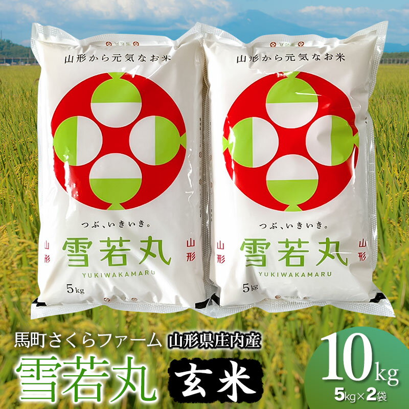 【ふるさと納税】令和7年産　馬町さくらファームの 雪若丸 玄米 10kg（5kg×2袋）　K-771 | 山形県 鶴岡市 ご飯 ブランド米 食物繊維 ビタミン ミネラル 豊富