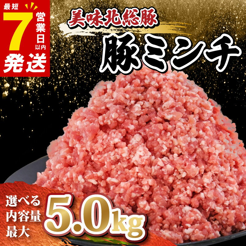 【ふるさと納税】 ＼最短7営業日以内発送／ 豚肉 ミンチ 選べる 3/4/5 kg 小分け 真空パック 500g 豚 ひき肉 挽肉 挽き肉 精肉 千葉 県産 銘柄 美味北総豚 ハンバーグ 冷凍 餃子 そぼろ 麻婆豆腐 家庭用 調理 国産 豚肉 銘柄豚 送料無料 千葉県 旭市 産地直送 旭食肉協同組合