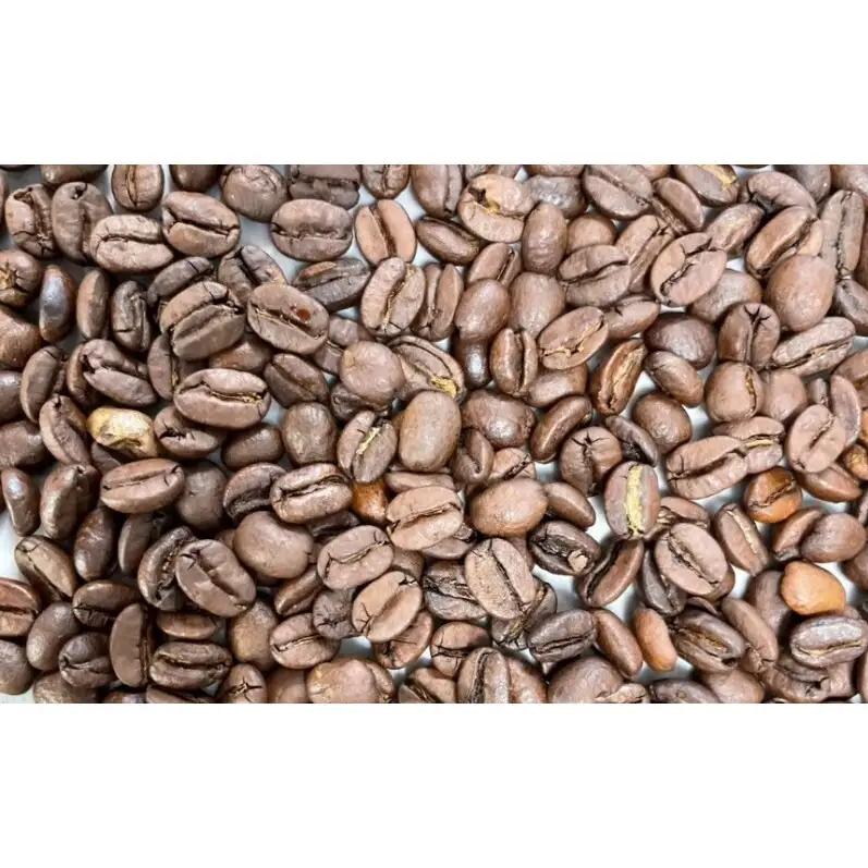 【厳選2種】ビター飲み比べセット・自家焙煎コーヒー（豆）(ブラジル250g、コロンビア239g)