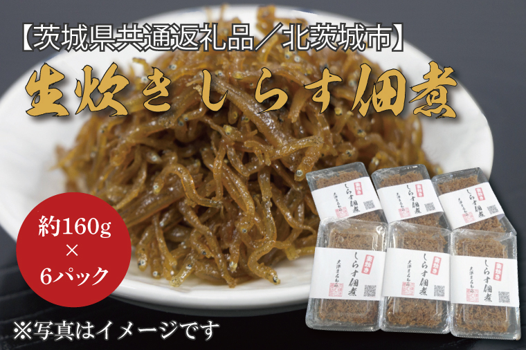 【茨城県共通返礼品／北茨城市】生炊きしらす佃煮 約160g×6パック(DO-3-1)