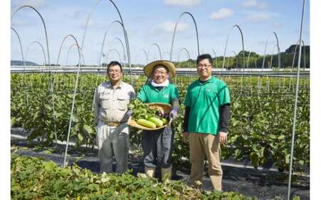 漬物 京つけもの もり 冬の特撰 6種 漬物