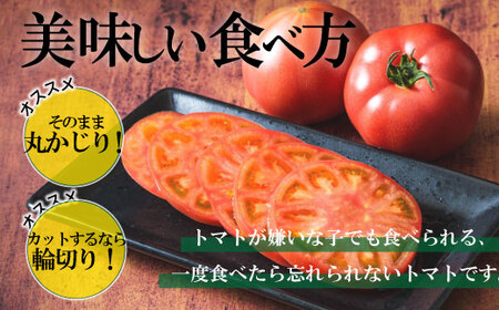 【先行受付】神トマト3K箱 【 ふるさと納税 人気 おすすめ ランキング 野菜 トマト とまと 神トマト リコピン おいしい 新鮮 鮮度抜群 健康 ヘルシー 北海道 北斗市 送料無料 】 HOKY00