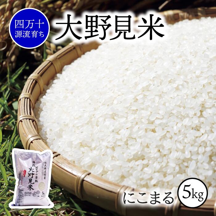 【ふるさと納税】 米 5kg にこまる 白米 新米 お米 特別栽培 大野見米 ご飯 5キロ 四万十 高知