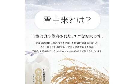 【定期便3ヶ月】ななつぼし 無洗米 20kg（10kg×2袋） 2026年6月発送開始 雪冷気 籾貯蔵 雪中米 北海道 nr-1484