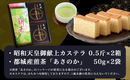 【お中元】カステラと煎茶セット_AA-7603-SG_(都城市) 宮崎県産鶏卵使用 カステラ専用窯で丁寧に焼き上げ 自然素材 スイーツ デザート 厳選米飴使用 焼き菓子