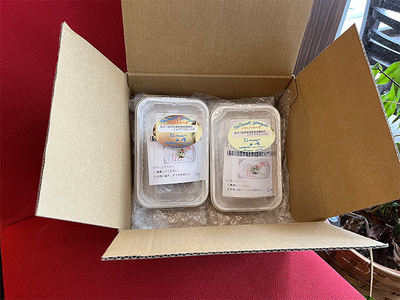 熟成豚肉 パテ 2個 セット 詰め合わせ 長谷川自然牧場 レストラン山崎 冷凍 加工肉 加工品 豚 豚肉 お肉 肉 おつまみ つまみ 惣菜 おかず お家ディナー 前菜 パーティー料理 夕飯 熟成豚 フ