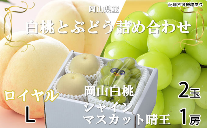 岡山白桃 ロイヤル 2玉×約200g（Lサイズ、早生種・中生種）シャインマスカット 晴王 1房約400g 詰合せ 岡山県産 果物類 ぶどう ブドウ 種無し もも モモ フルーツ デザート 食後 おやつ 産地直送