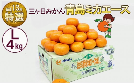 
                  三ケ日みかん 青島 【特選 ミカエース】 Lサイズ4kg(30個前後) ミカン 果物 くだもの フルーツ 甘い 果物類 柑橘類 静岡 浜松市【配送不可：北海道・沖縄・離島】
                