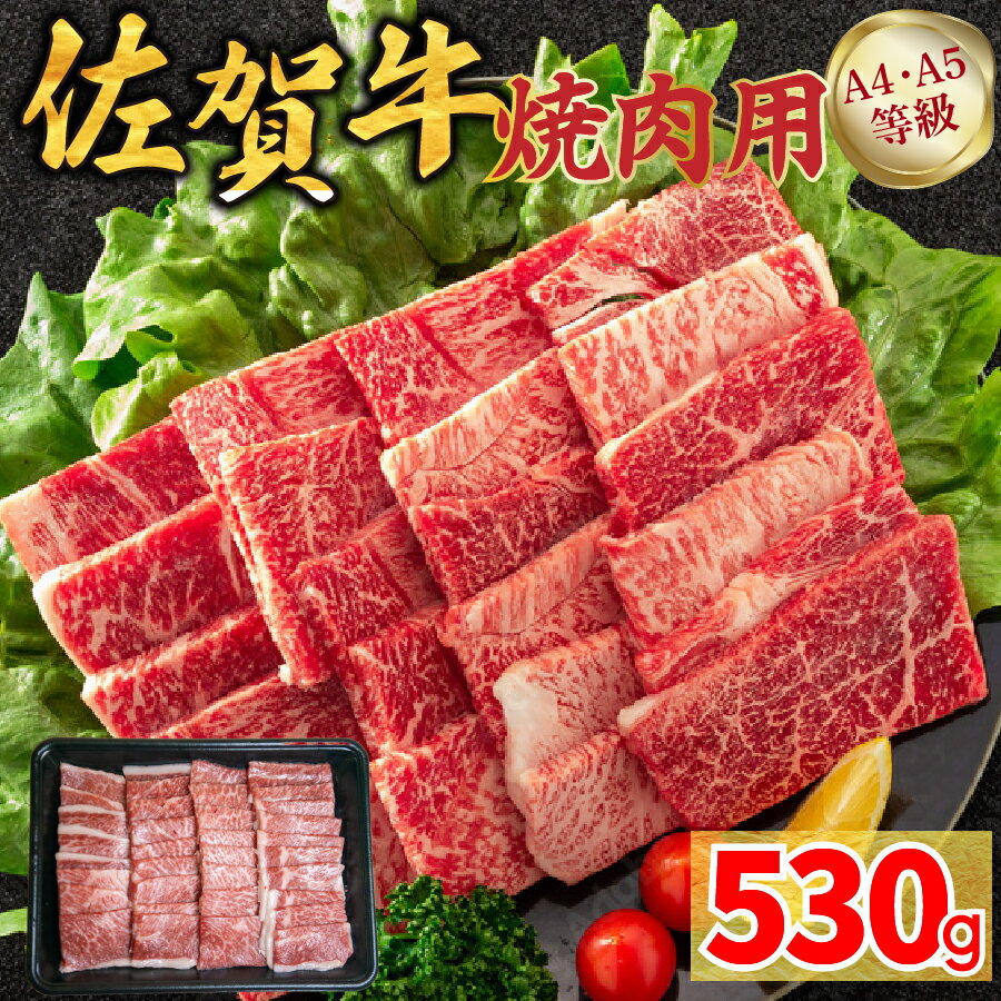 【ふるさと納税】佐賀牛焼肉用（モモウデ）530g（FM055）