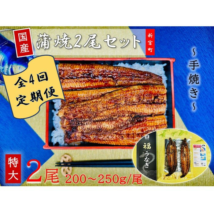 【ふるさと納税】【全4回定期便】国産うなぎ蒲焼2尾（計400～500g）.H050