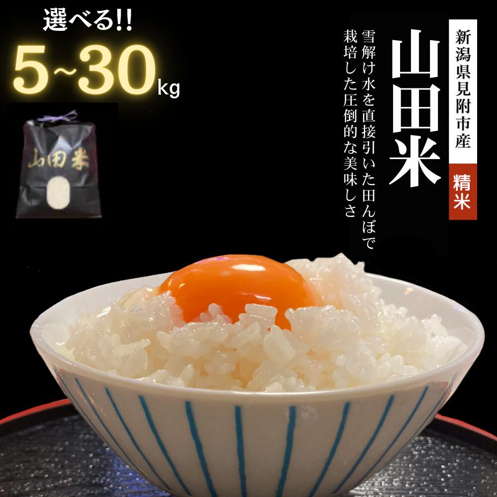 【ふるさと納税】 米 こめ ★R7年産★ 新米 山田米 白米 30kg 20kg 10kg 5kg 新潟県 見附市 新潟米 銘柄米 甘い 美味しい 人気 令和7年産 精米 したてを お届け 新潟産 送料無料 ご飯 おこめ 見附市ふるさと納税 ファーム喜左ヱ門