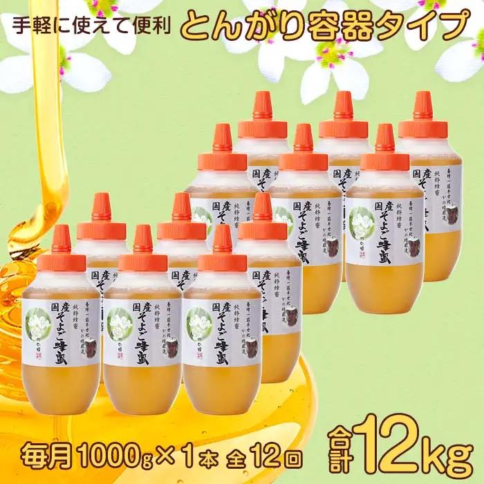 【全12回】 定期便 かの蜂 国産 そよご蜂蜜 合計12kg（とんがり容器1kgを毎月1本お届け） はちみつ ハチミツ 024-T015