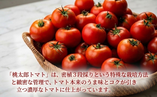 ＜先行予約＞樹上熟3段採り 桃太郎トマト / 正品2kg箱(10～15玉入)【1472504】