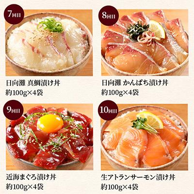 ふるさと納税 延岡市 【毎月定期便】【ふるさと納税】日向灘 日向灘 海鮮漬け丼 バラエティ全10回 |  | 03