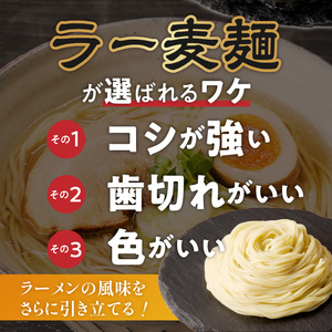 ラー麦麺の塩ラーメン2食_ラー麦麺 塩ラーメン  2食 こだわり 生麺 塩 ラーメン スープ ラー麦 麺 コシ 強い 歯切れ 色 細麺 茹で時間 1分ほど お好み ねぎ チャーシュー トッピング お取