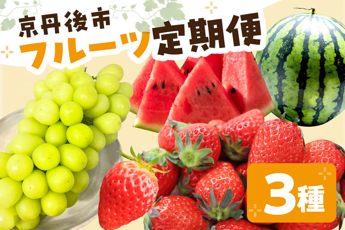 京丹後フルーツ定期便3種（いちご、スイカ、シャインマスカット）　FS00033