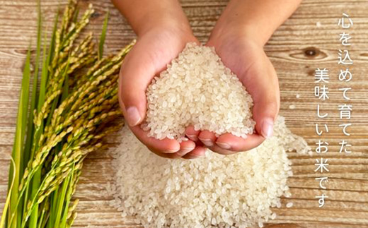 【令和7年新米・先行受付】ちぎり米 5kg(「さがびより」、「ヒノヒカリ」、「夢しずく」から1種類 選択不可)【栽培期間中農薬不使用米 佐賀県産 米 お米 コメ こめ 国産 美味しい】K091002