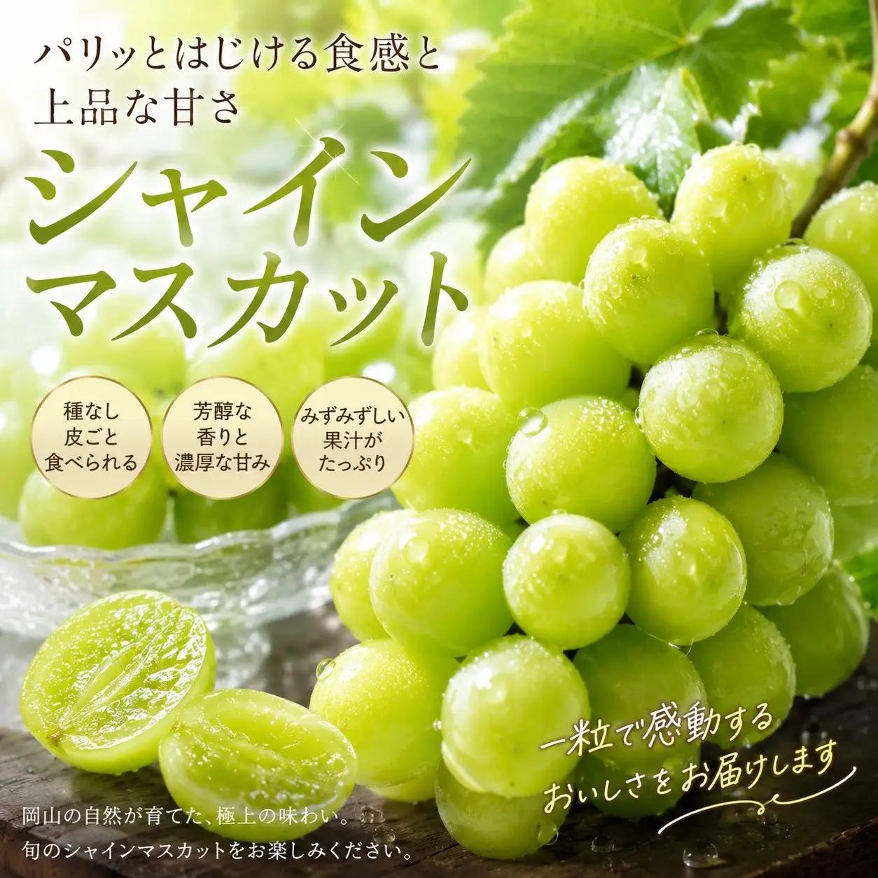 ご家庭用　岡山県産　シャインマスカット 5kg |  葡萄 ぶどう シャインマスカット フルーツ 果物 くだもの  国産 食品 人気 おすすめ 送料無料