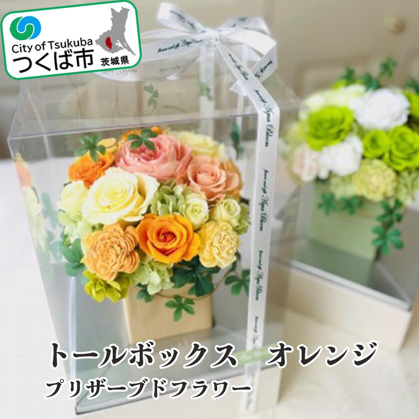 【ふるさと納税】トールボックス・オレンジ（プリザーブドフラワー） | バラ プリザーブドフラワー ダイヤモンドローズ フラワー 花 お花 薔薇 ギフト 贈答 プレゼント 母の日 おしゃれ アクアブルーム 茨城県 つくば市