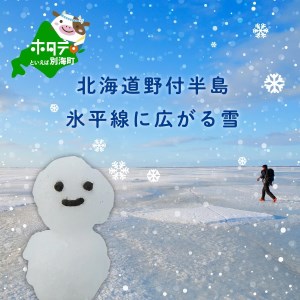 北海道野付半島 氷平線に広がる 雪  （ ゆき 雪 地平線 北海道 野付 別海町 ふるさと納税 ）